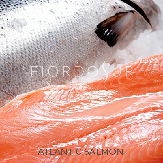 ATLANTIC-SALMON2_NOMBRE